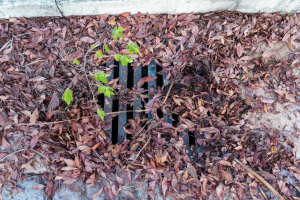 Yard Drain Unclogging in Wylie