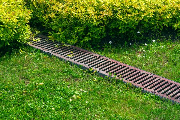 Lawn Drainage in Wylie