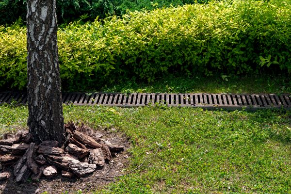 Yard Water Redirection in Wylie